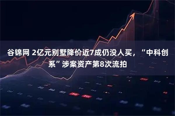谷锦网 2亿元别墅降价近7成仍没人买，“中科创系”涉案资产第8次流拍