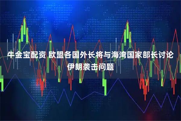 牛金宝配资 欧盟各国外长将与海湾国家部长讨论伊朗袭击问题